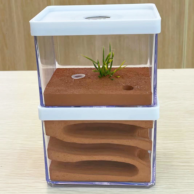 Small Animal Supplies Plaster Ant Farm High Moisture Insect el Castle Ecological Nest Pet hill Workshop House Village with Feeding Area hun 230130