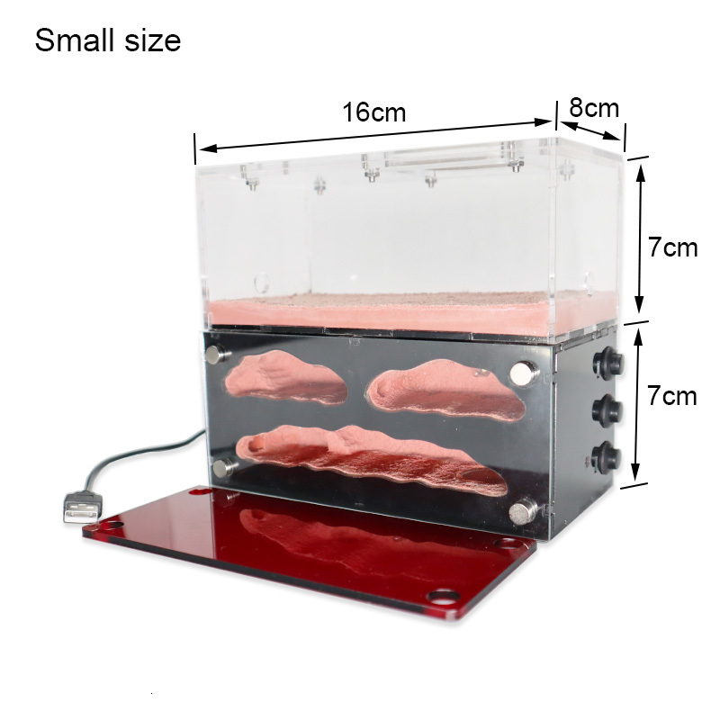 Small Animal Supplies Ecological Ant Farm with Independent Lights Control Anthill Ants Nest Living House Concrete Insect el Workshop hun 230130