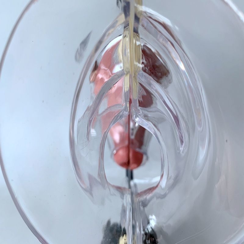 Other Office School Supplies Transparent Uterus Model Visible Human Vagina Anatomical Female Reproductive Organ for Educational Training 230130