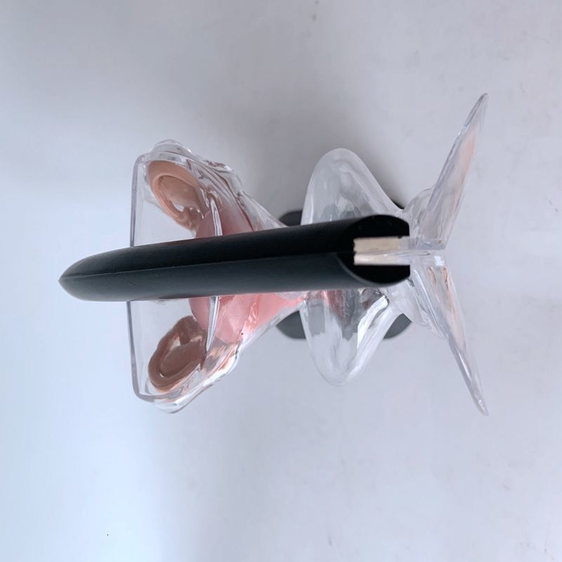 Other Office School Supplies Transparent Uterus Model Visible Human Vagina Anatomical Female Reproductive Organ for Educational Training 230130