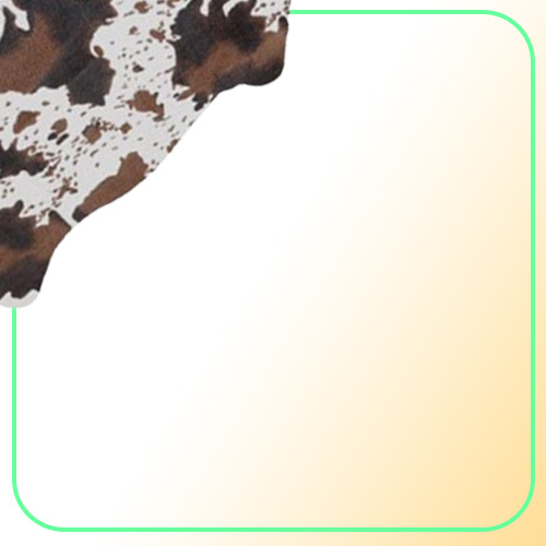 Carpets Imitation Animal Skins Rugs And Cow Carpet For Living Room Bedroom 110x75cm2947661