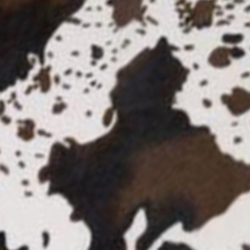 Carpets Imitation Animal Skins Rugs And Cow Carpet For Living Room Bedroom 110x75cm2947661