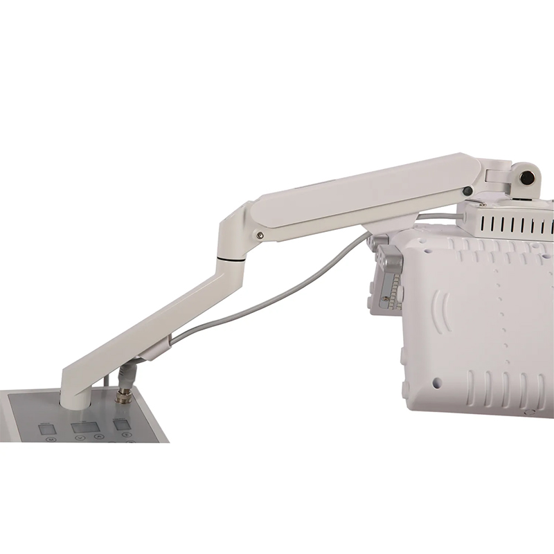 Vertical Spa 4 Color 1098 1830 Lamps Led Face Light Therapy Facial Device Red Light Therapy Heauty Salon Equipment