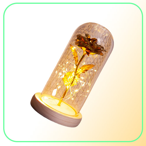 Romantic Eternal Rose Flower Glass Cover Beauty and Beast LED Battery Lamp Birthday Valentine039s Day Mother Gift Home Decorati2967651