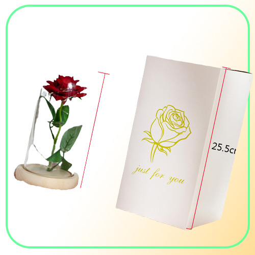 Romantic Eternal Rose Flower Glass Cover Beauty and Beast LED Battery Lamp Birthday Valentine039s Day Mother Gift Home Decorati2967651