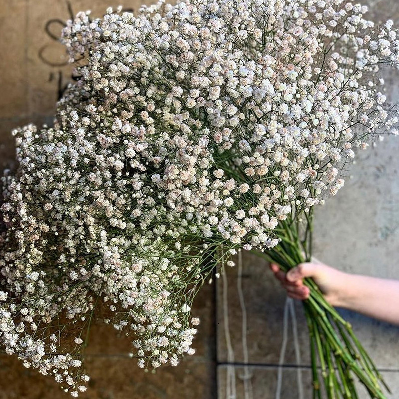 Decorative Flowers Wreaths White Natural Dried Gypsophila Babys Breath Arrangement Home Decoration Wedding Table Decor Floral DIY 230808