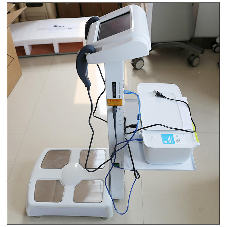 GS6.5 body composition analyzer with touch LCD screen Health check up kiosk for clinic and pharmacy