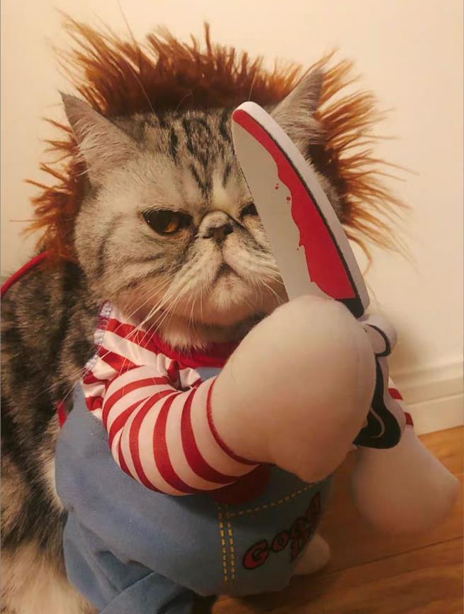 Deadly Doll Dog Costume Funny Party Cosplay Novelty Cat Dog Clothes for Halloween Christmas Cute Scary and Spooky Pet Costume