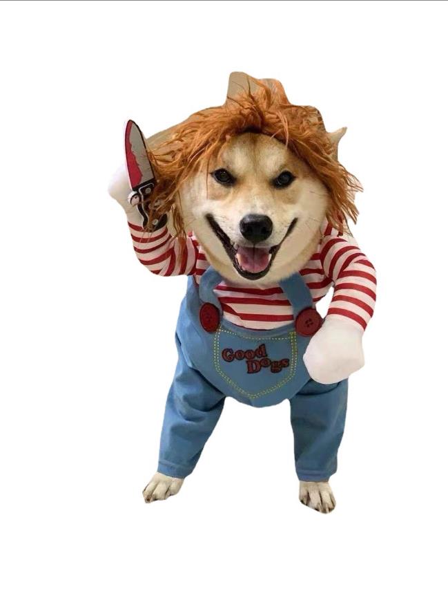 Deadly Doll Dog Costume Funny Party Cosplay Novelty Cat Dog Clothes for Halloween Christmas Cute Scary and Spooky Pet Costume
