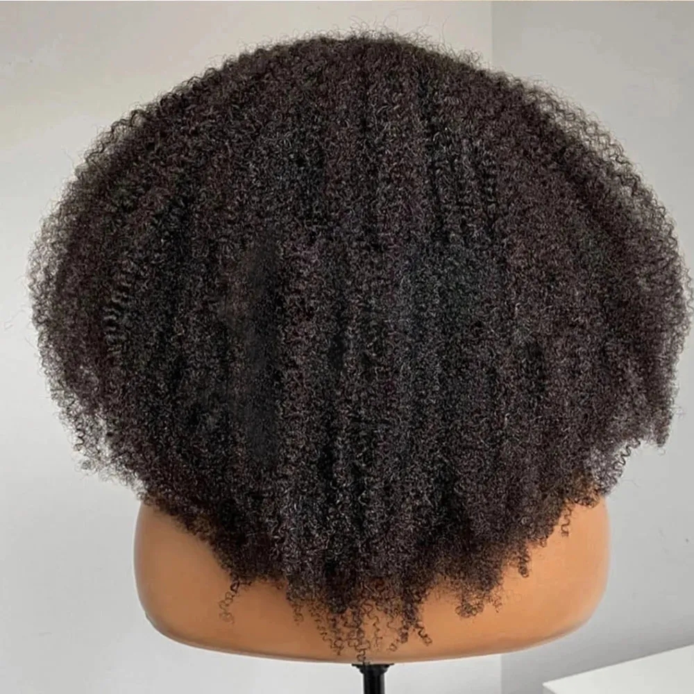 Hd 4b 4c Afro Kinky Curly Wig With 4c Kinky Edges 130 Density full Lace Front Human Hair Wig Curly brazilian natural raw Hair Wigs Pre-Plucked Lace Fr