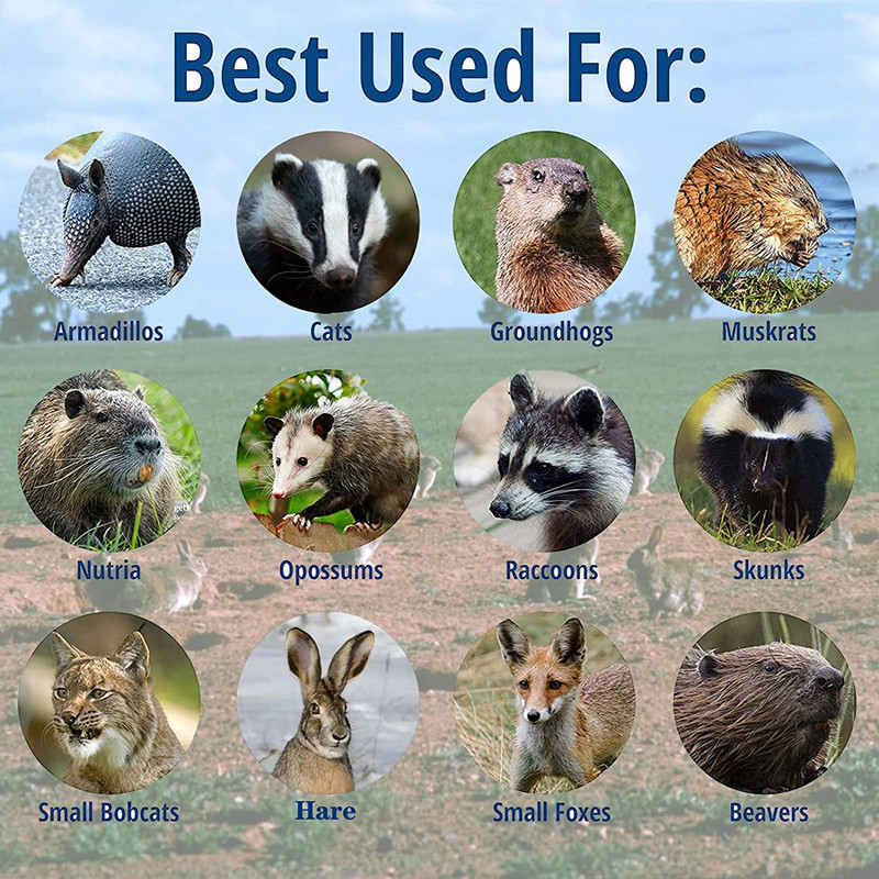 Other Home Garden Rodent repeller Mole Mouse trap Rat cage for es traps mice mouse human 230816