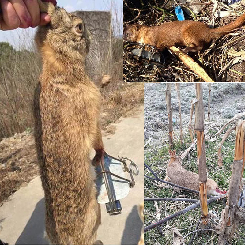 Other Home Garden Rodent repeller Mole Mouse trap Rat cage for es traps mice mouse human 230816