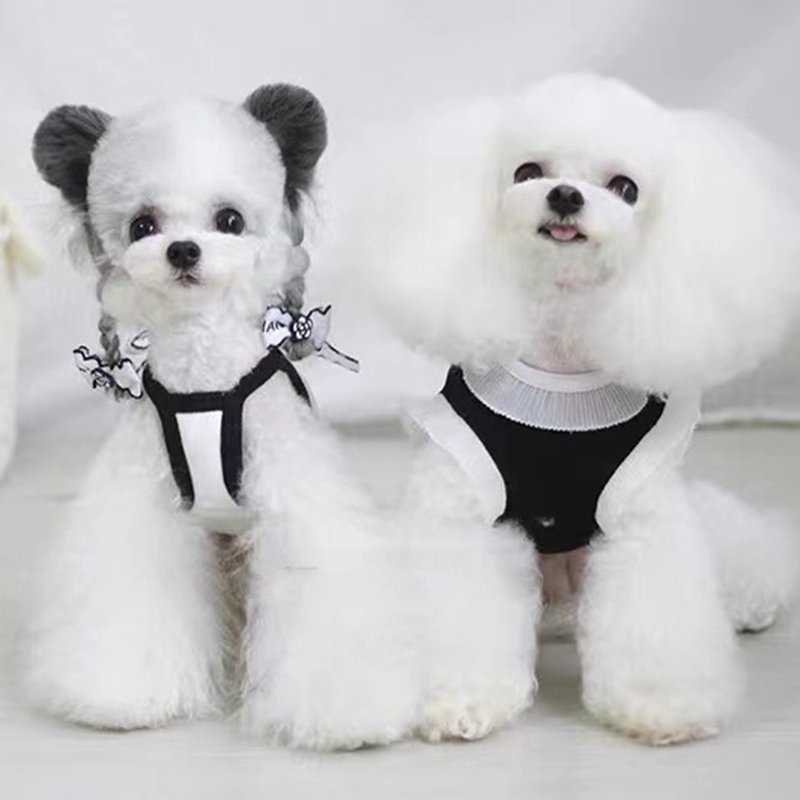 Dog Clothes Summer Designer Dog Apparel Pet Dress Shirt Luxury Dog Sundress Printed Dog Princess Dress Puppy Skirt with Classic Letters for Small Dogs