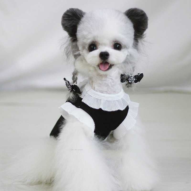 Dog Clothes Summer Designer Dog Apparel Pet Dress Shirt Luxury Dog Sundress Printed Dog Princess Dress Puppy Skirt with Classic Letters for Small Dogs