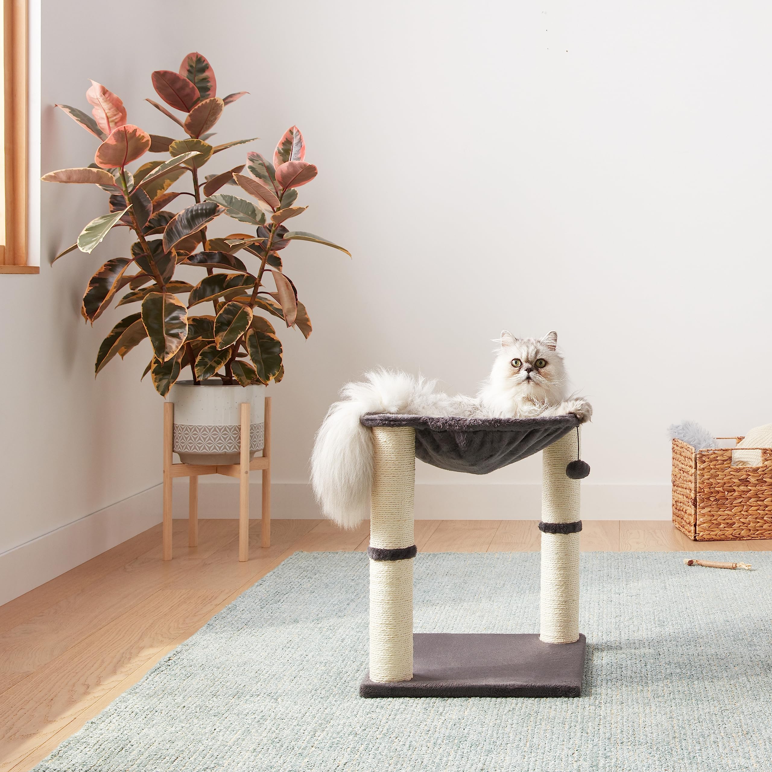yuexuan cat tree tower with hammock and scratching posts for indoor cats toys 16 5x15 7x15 7 18 1x15 7x15 7 inches beige gray colors cat bed