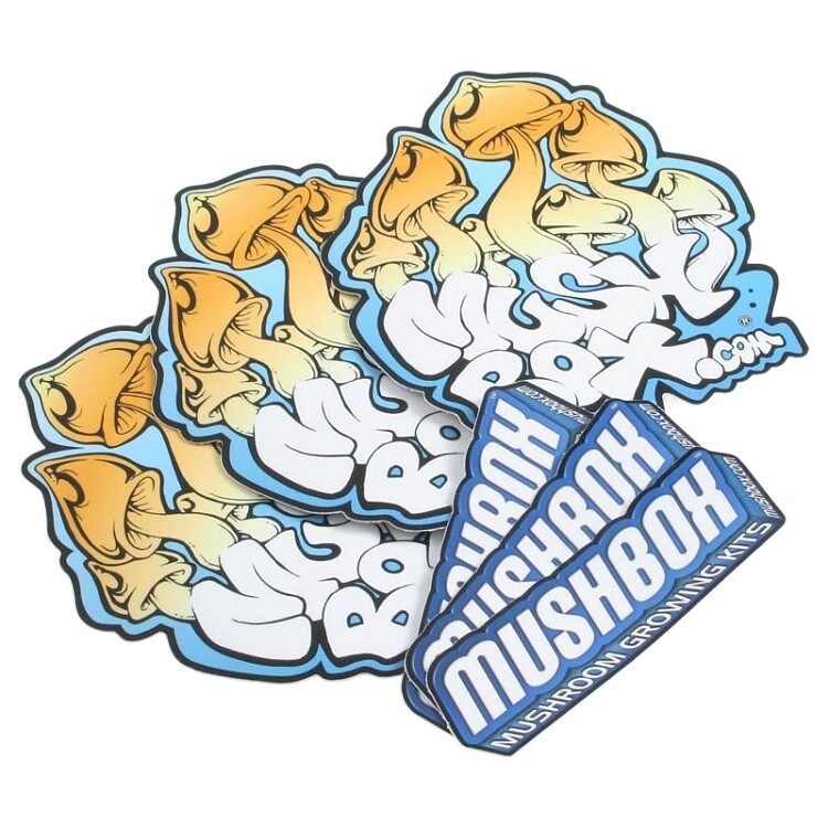 Making Adhesive Label Logo Design UV Proof Die Cut Sticker Printing Waterproof PVC Vinyl Custom Stickers