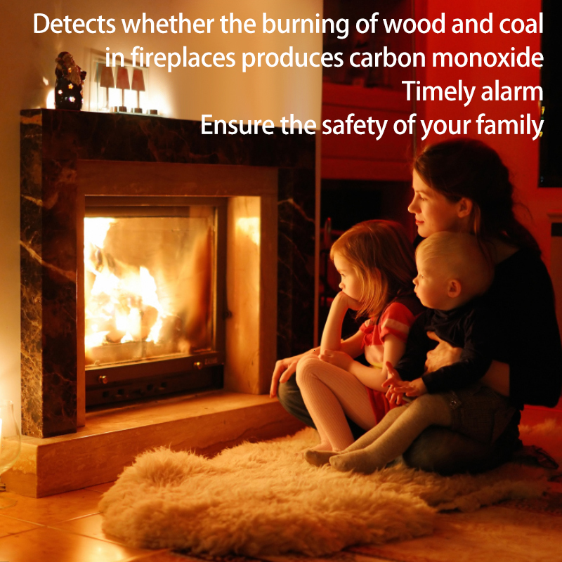 Other Home Garden 1 6 LCD CO Sensor Work Alone Built In 85dB Siren Sound Independent Carbon Monoxide Poisoning Warning Alarm Detector Kitchen 230824