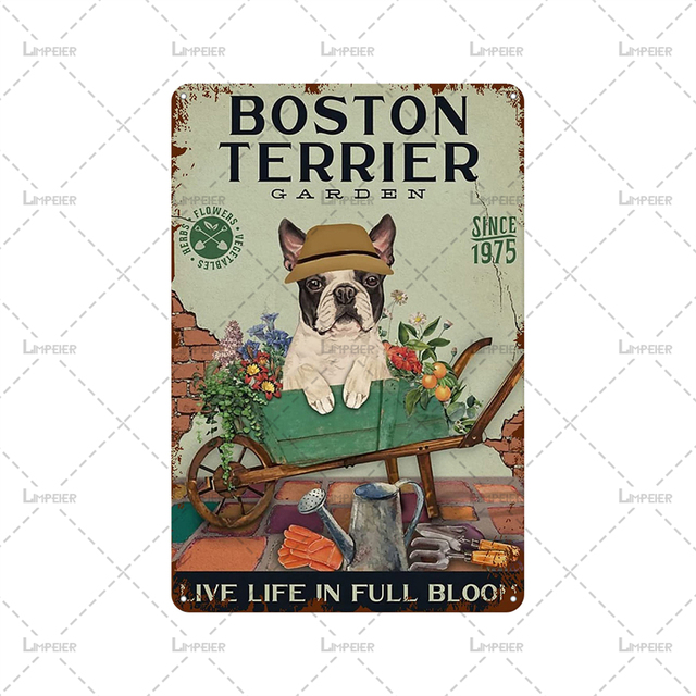 Funny Black Cat Tin Sign Cats and Golf Metal Plaque Vintage Cartoon Animals Tin Plate Metal Wall Sticker for Man Cave Home Pethouse Club Decor 30X20CM