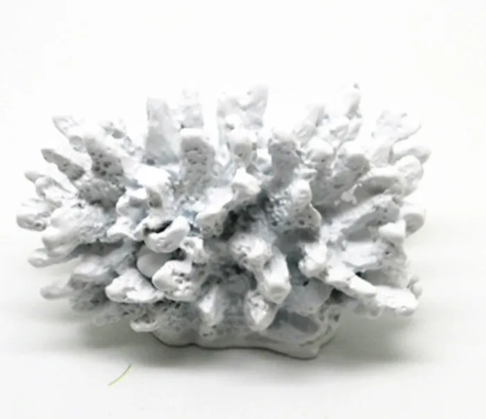 Seven Seas Coral Place Card Photo Holder 100PCSLOT wedding party photo frameZZ