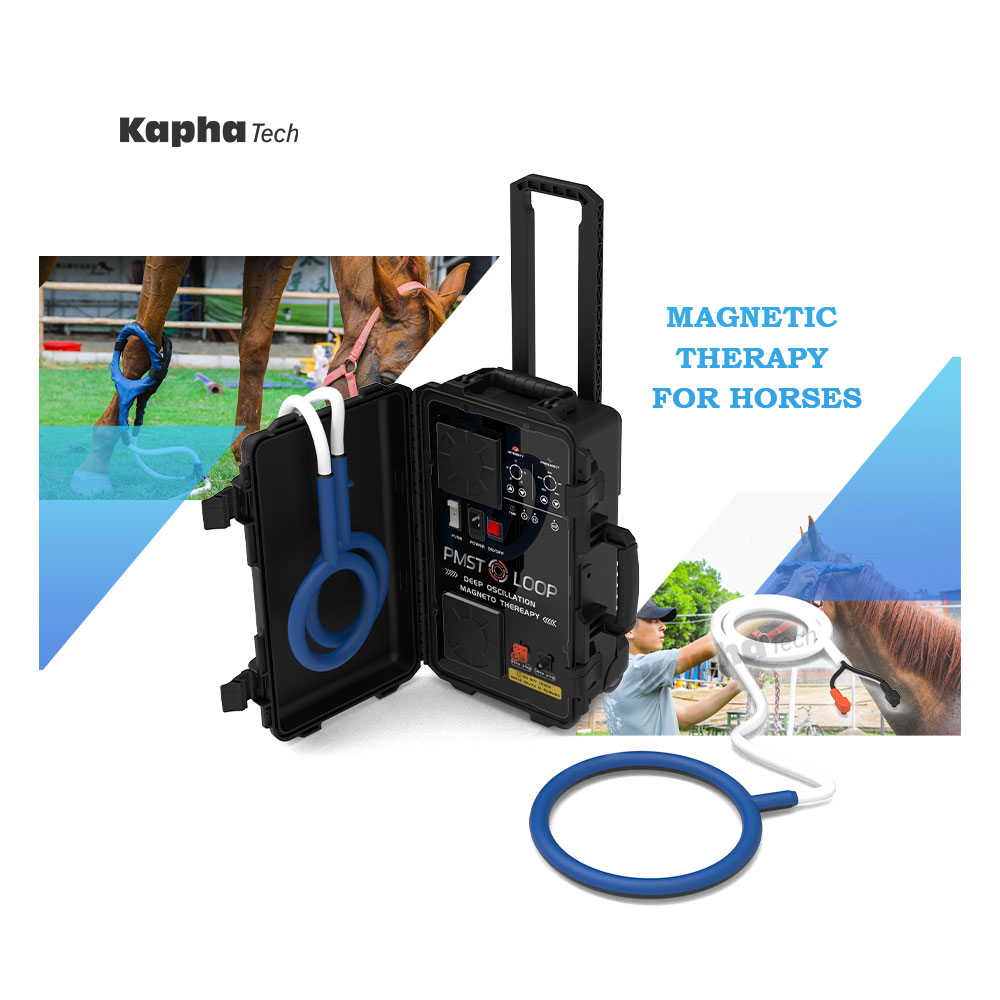 PEMF Equine Loop For Horse Health And Ligament Strain Rebilitation Hofmag Machine