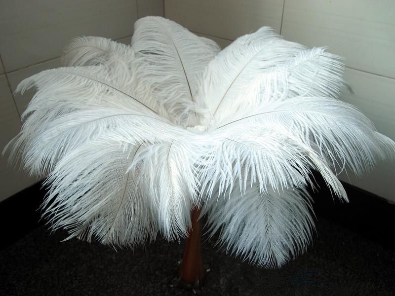 Other Wedding Favors Wholesale a lot beautiful ostrich feathers Wedding centerpiece Table centerpieces Party Decoraction supply ZZ