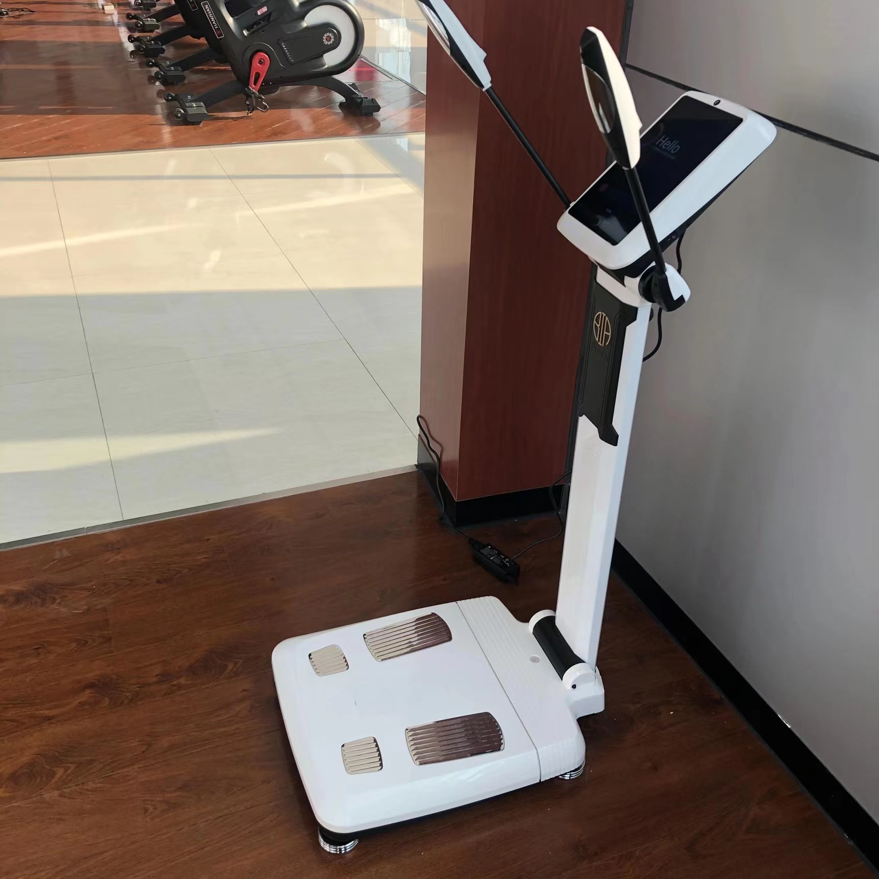 Patened professional bioimpedance biochemical full body fat protein analyzer with printer