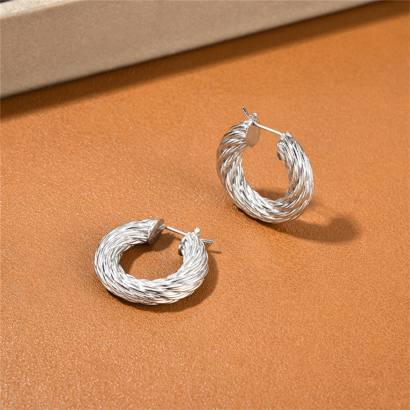 French Metal Coarse Thread Fried Dough Twists Circle Earrings Niche Fashion Trend Simple All-Match Charm Jewelry