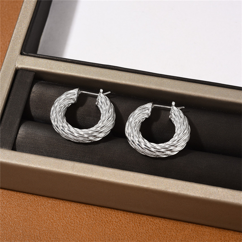 French Metal Coarse Thread Fried Dough Twists Circle Earrings Niche Fashion Trend Simple All-Match Charm Jewelry