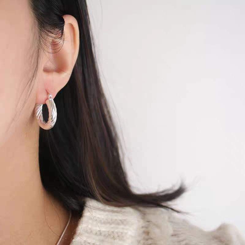 French Metal Coarse Thread Fried Dough Twists Circle Earrings Niche Fashion Trend Simple All-Match Charm Jewelry