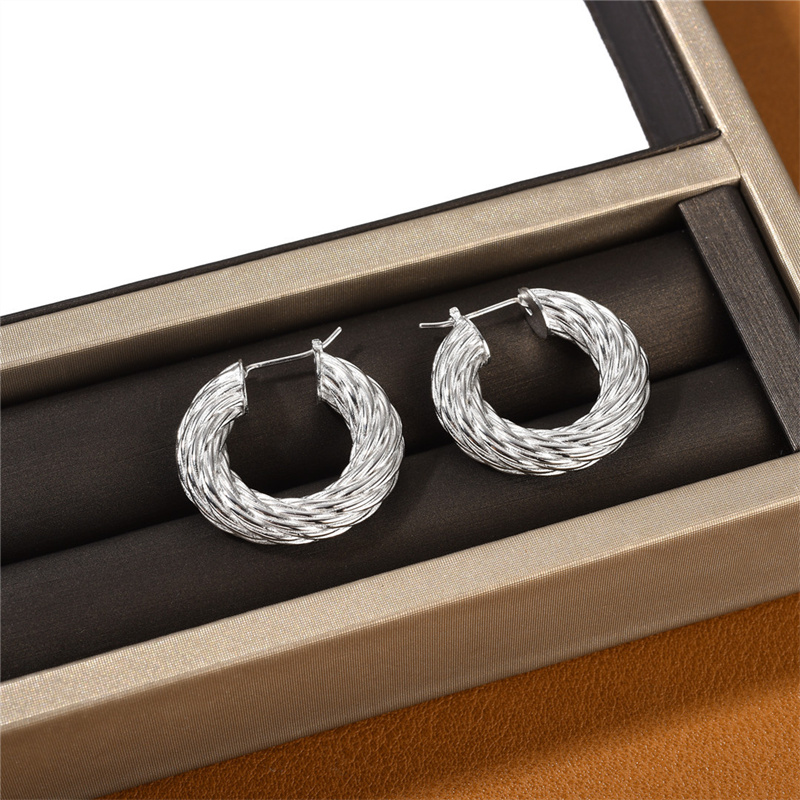 French Metal Coarse Thread Fried Dough Twists Circle Earrings Niche Fashion Trend Simple All-Match Charm Jewelry