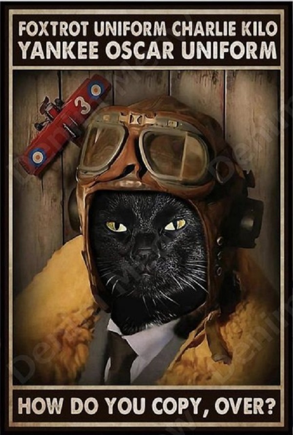 Funny Cat Wall Metal Poster Cute Pet Tin Sign Once Upon A Time There Was A Girl Who Loved Cat Vintage Art Poster Cat Lover Gift Door Sign Pet House Pa