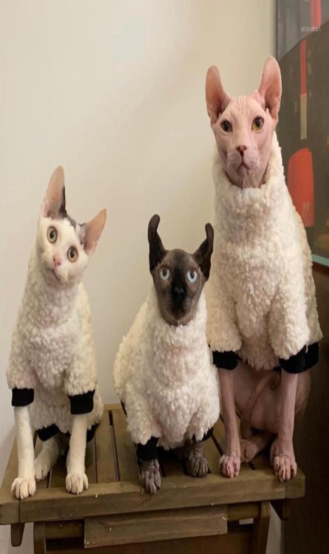 Hairless Cat Clothes Pet Clothing Autumn Winter Soft Elastic Warm Kitten Devon Sphinx Short Feet Costumes4832226
Hairless Cat Clothes Pet Clothing Autumn Winter Soft Elastic Warm Kitten Devon Sphinx Short Feet Costumes4832226