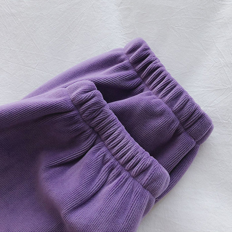 Women's Pants Capris Winter Autumn Warm SweatPants Women Loose solid High Waist 3 colors velvet thick Harem Pants comfort Casual sports trousers 