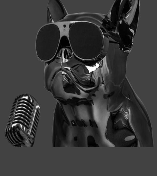 New Bluetooth Speaker Jarre Aero Bull Nano Dog Wireless Speakers Portable Stereo Subwoofer Hands Speaker AEROBULL for IPHONE 89934999
New Bluetooth Speaker Jarre Aero Bull Nano Dog Wireless Speakers Portable Stereo Subwoofer Hands Speaker AEROBULL for IPHONE 89934999