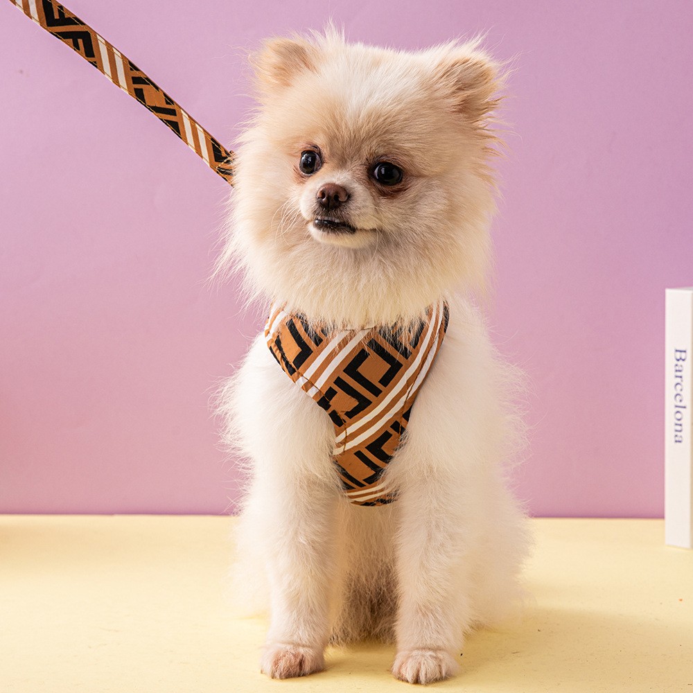 Dog Supplies Leash and Collar Set Pet's Chest-Back with Hand Holding Rope high quality Jarre Aero Small and Medium-Sized Dogs Pet's Chest-Back Dog Leash Spot
Dog Supplies Leash and Collar Set Pet's Chest-Back with Hand Holding Rope high quality Jarre Aero Small and Medium-Sized Dogs Pet's Chest-Back Dog Leash Spot