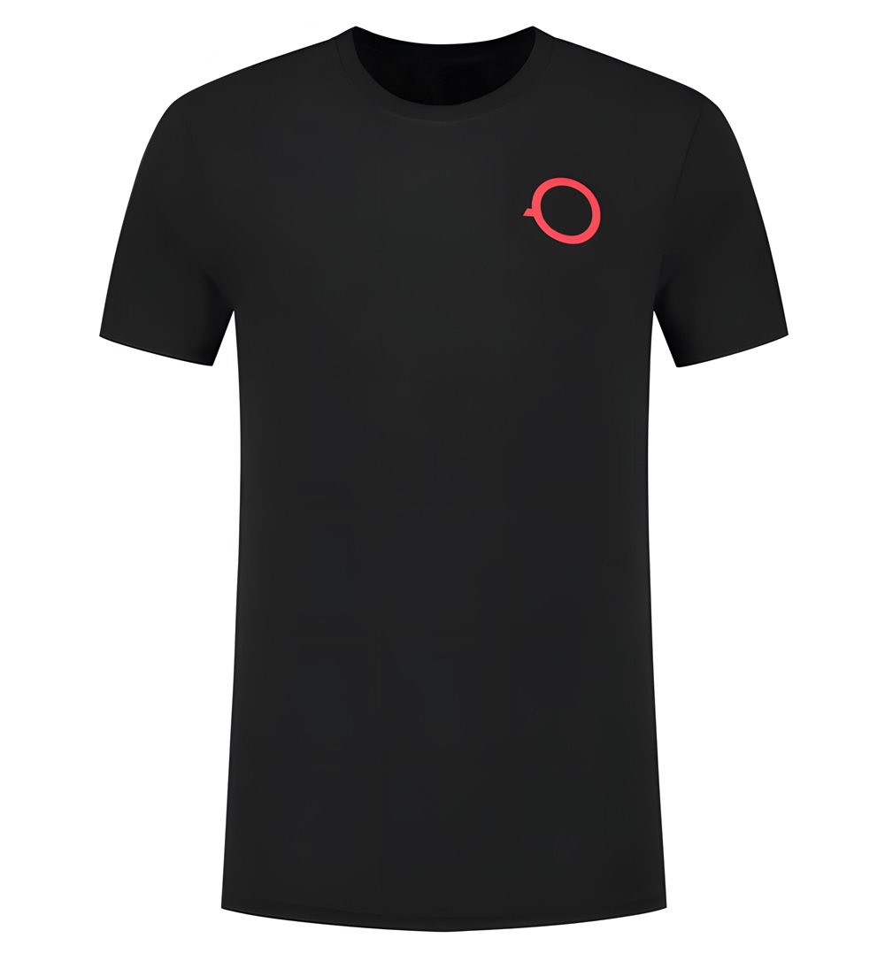 F1 Teamwear Men's T-shirt Polo Shirt 2024 Formula 1 Drivers Racing Black T-Shirt Custom Same Fans Plus Size Tops Jersey Summer free shippin