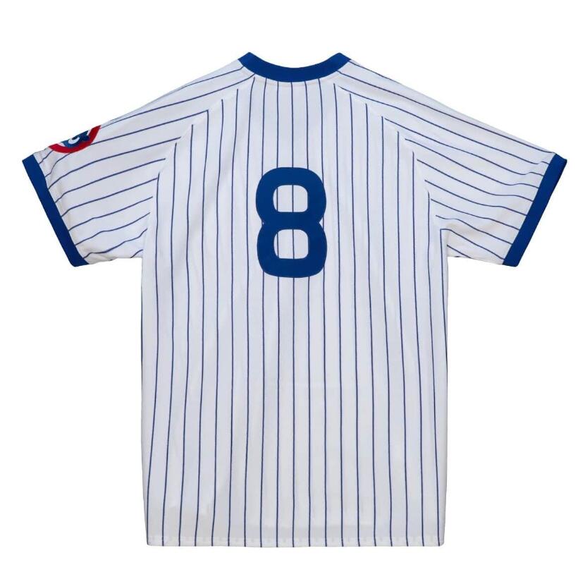 Stitched Baseball Jerseys 8 Andre Dawson Mitchell Ness jersey 1987 Men Women Youth S-4XL retro jersey
Stitched Baseball Jerseys 8 Andre Dawson Mitchell Ness jersey 1987 Men Women Youth S-4XL retro jersey