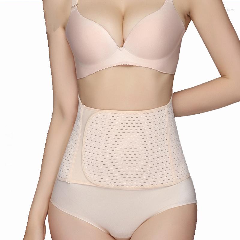 Women's Shapers Waist Shaper Girdles For Women Body Cincher Trainer Shapewear Fajas Modeladoras Slimming Belt Trimmer, Skin
Women's Shapers Waist Shaper Girdles For Women Body Cincher Trainer Shapewear Fajas Modeladoras Slimming Belt Trimmer, Skin