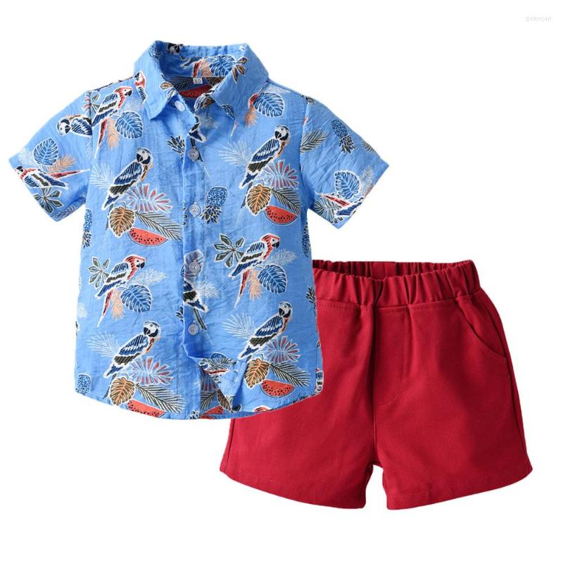 Clothing Sets Summer Children's Clothes Set 2023 Vintage Printed Shirt Solid Color Shorts 2 Pcs Baby Boys Casual Short Sleeve Outfits, Navy blue
Clothing Sets Summer Children's Clothes Set 2023 Vintage Printed Shirt Solid Color Shorts 2 Pcs Baby Boys Casual Short Sleeve Outfits, Navy blue