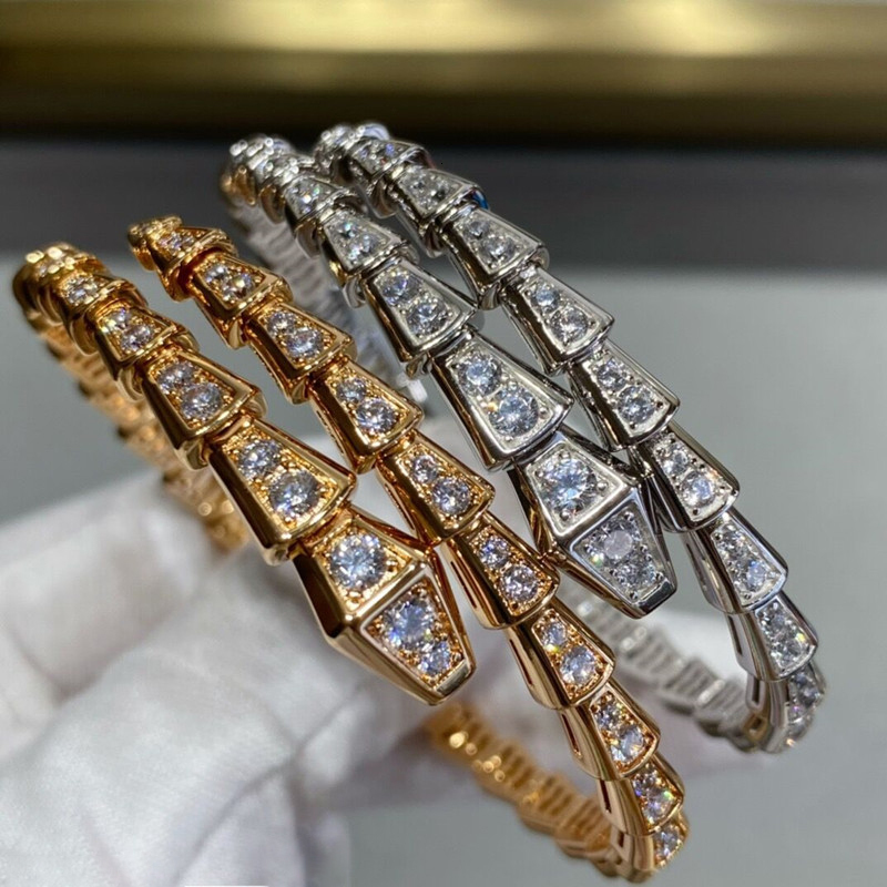 Bangle European jewelry 925 sterling silver zircon elastic snake bone bracelet Womens highend fashion luxury brand party 230313
Bangle European jewelry 925 sterling silver zircon elastic snake bone bracelet Womens highend fashion luxury brand party 230313