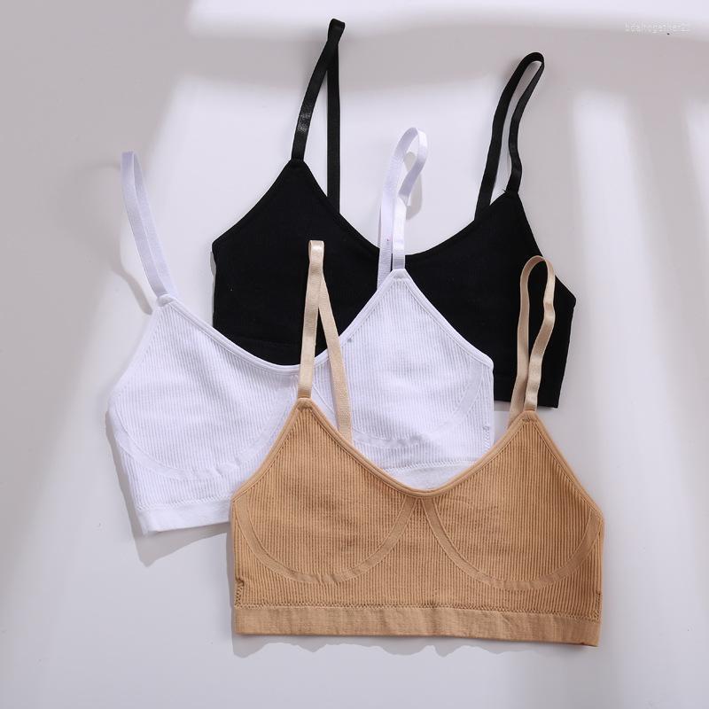 Bras Cotton Seamless Women Blouse Without Rims Fitness Yoga Underwear Bra Adjustable Shoulder Strap, Blue
Bras Cotton Seamless Women Blouse Without Rims Fitness Yoga Underwear Bra Adjustable Shoulder Strap, Blue