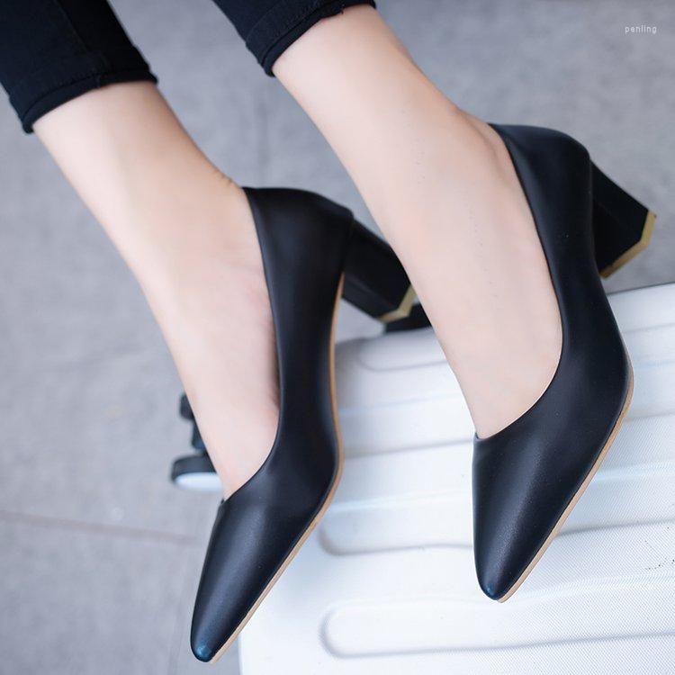 Dress Shoes Pointed Toe Soft Leather Square Heel 5 Cm High Heels Pumps Women 2023 Simple Office Comfortable Wild Shallow Female, Black
Dress Shoes Pointed Toe Soft Leather Square Heel 5 Cm High Heels Pumps Women 2023 Simple Office Comfortable Wild Shallow Female, Black