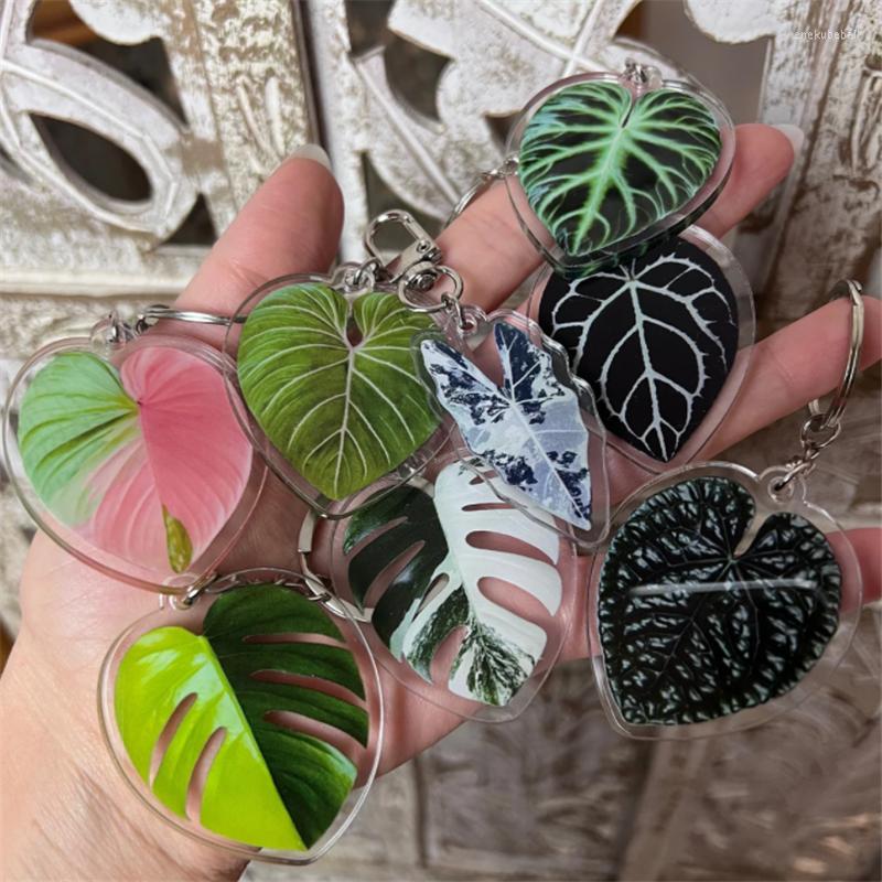 Keychains Rare Tropical Plant Keychain For Woman Bag Car Accessori Monstera Adasonii Thai Con Pink Princess Philo Key Chain Houseplant
Keychains Rare Tropical Plant Keychain For Woman Bag Car Accessori Monstera Adasonii Thai Con Pink Princess Philo Key Chain Houseplant