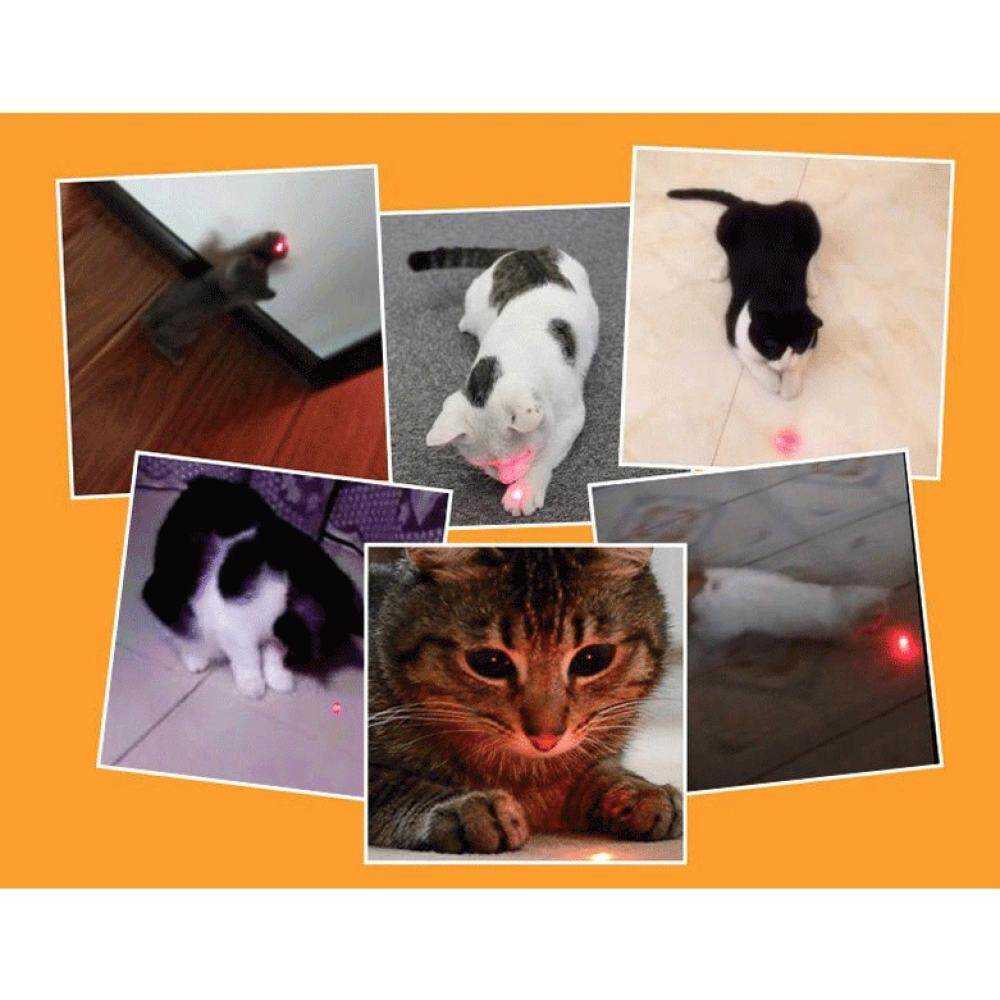 1pcs Funny Cat Stick New Cool 2 In1 Red Laser Pointer Pen with White LED Light Children Play DOG Toy
