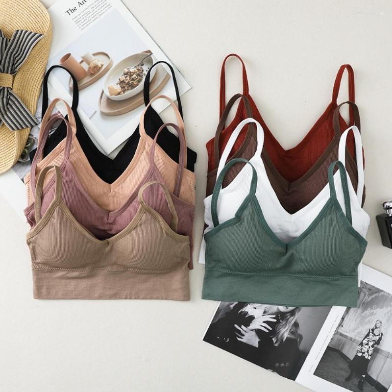 Bras Female Seamless Underwear Women's Tank Crop Top Push Up Sports Bra Sexy Lingerie Low Back Bralette Camisole Bandeau, Caramel colour
Bras Female Seamless Underwear Women's Tank Crop Top Push Up Sports Bra Sexy Lingerie Low Back Bralette Camisole Bandeau, Caramel colour