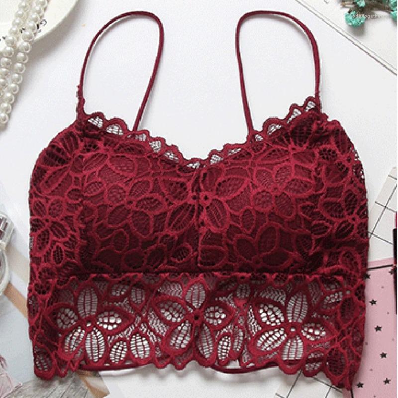 Bras Women Lace Bralette Sexy Lingerie Bra Wireless Underwear Padded Seamless For, Black
Bras Women Lace Bralette Sexy Lingerie Bra Wireless Underwear Padded Seamless For, Black