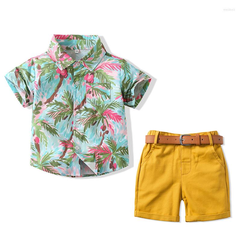 Clothing Sets Summer Boys Short-Sleeved Shirt Toddler Handsome Casual Coconut Tree Seaside Vacation Lapel Boutique Set Kids Fashion Beach, Black t-shirt
Clothing Sets Summer Boys Short-Sleeved Shirt Toddler Handsome Casual Coconut Tree Seaside Vacation Lapel Boutique Set Kids Fashion Beach, Black t-shirt