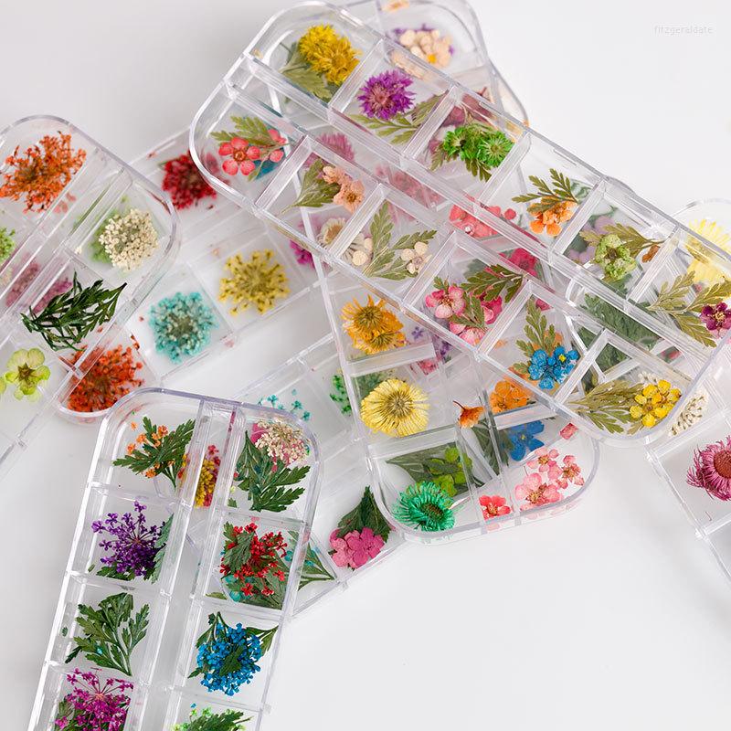 Nail Art Decorations 12 Styles Of Dried Flower Natural Floral Stickers For 3d Manicure Accessories
Nail Art Decorations 12 Styles Of Dried Flower Natural Floral Stickers For 3d Manicure Accessories