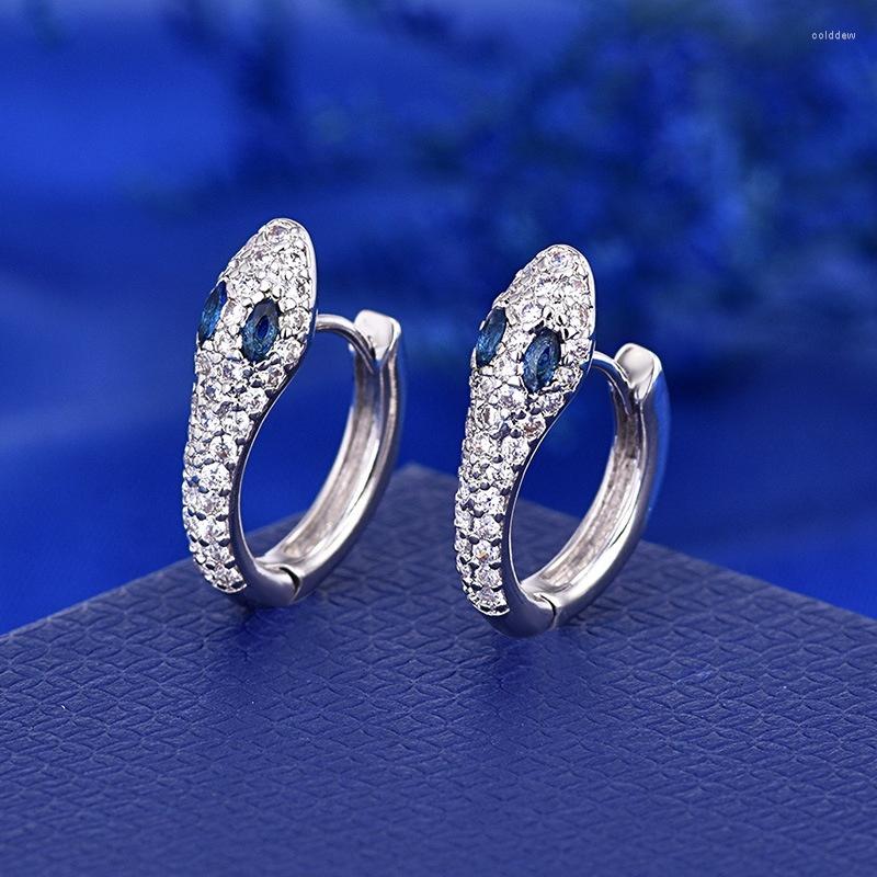Hoop Earrings Exquisite Women's Silver Color Earring White Blue Gem Crystal Classics Zircon Jewelry Valentine's Day Gift
Hoop Earrings Exquisite Women's Silver Color Earring White Blue Gem Crystal Classics Zircon Jewelry Valentine's Day Gift