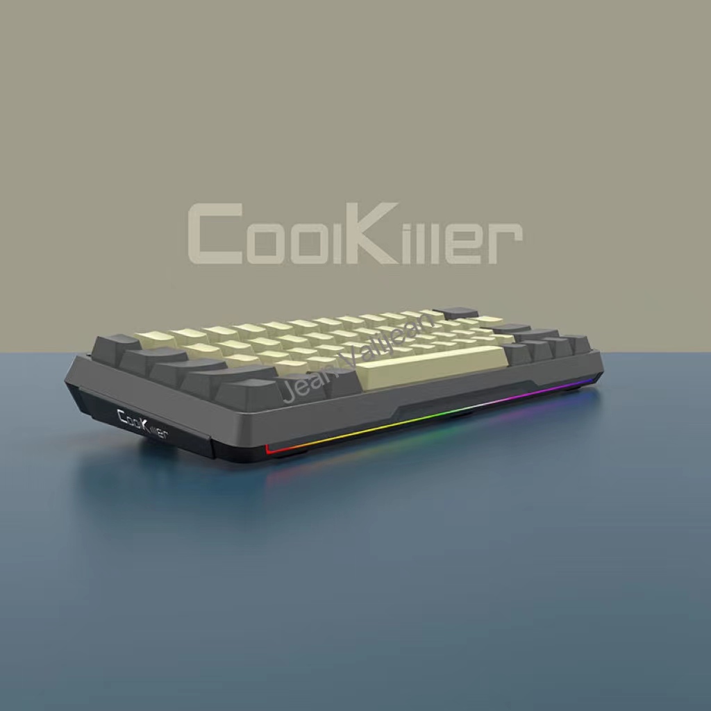 Coolkiller DIY 61 Key Game Mechanical Keyboard with Hotswap OEM RGB Lighting Effect Coiled Cable Ergonomics Mini Wired Keyboard